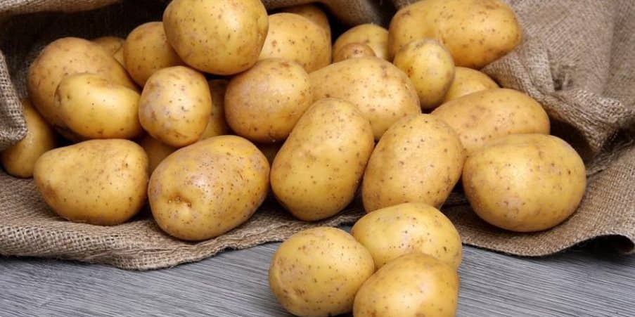 comment conserver pommes de terre