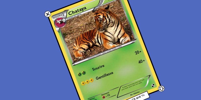 créer carte pokemon personnalisee